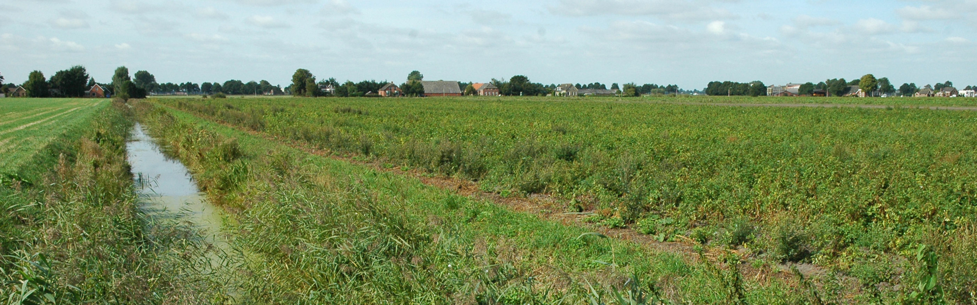 wijk-in-veenkoloniaal-landschap-kiel-windeweer