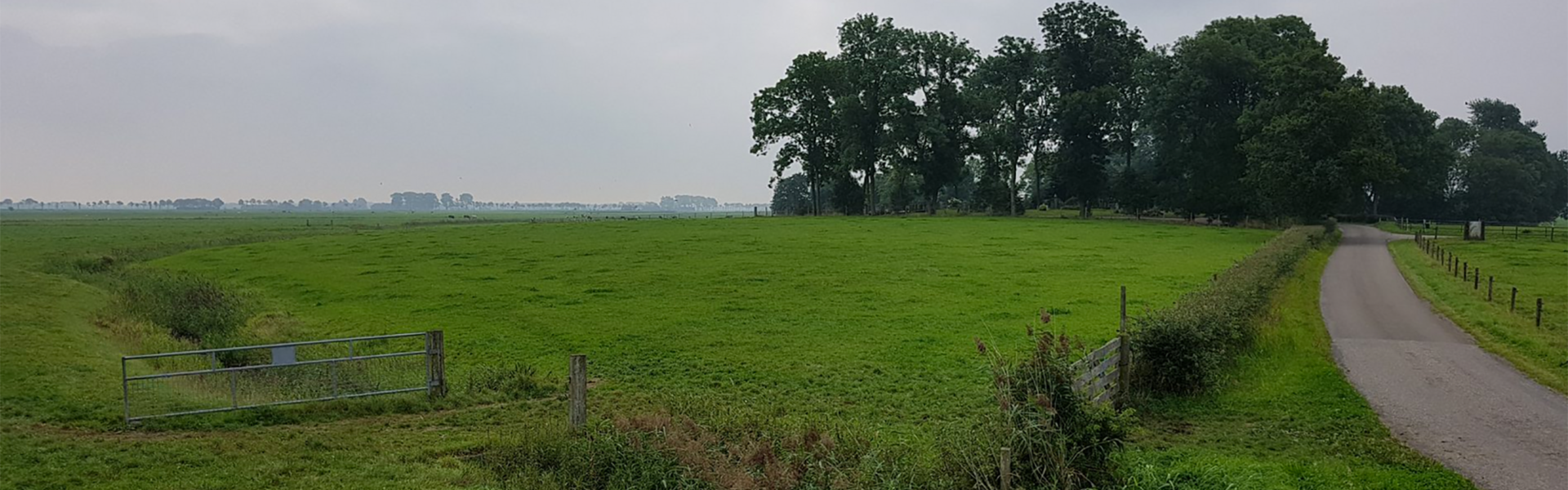 wierdebegraafplaatsbig