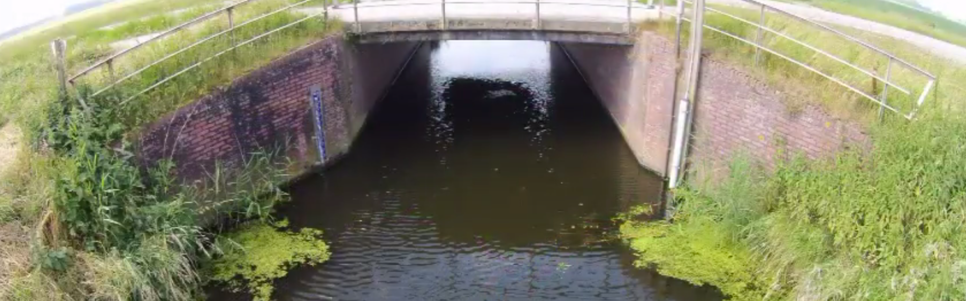 screenshot-2019-02-06-18