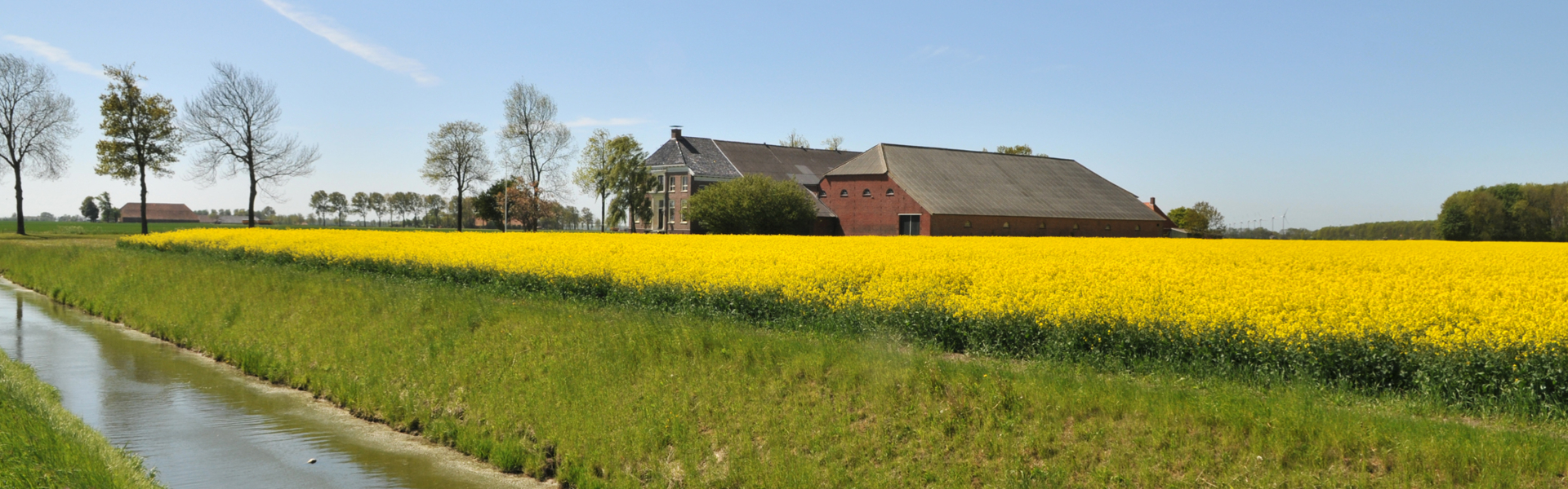 oldambtkoolzaadboerderij2zomer2010