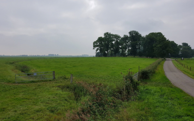 wierdebegraafplaatsbig-2